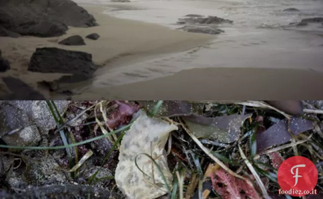 Chutney di limone arrosto