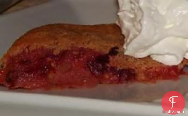 Pan di Spagna Fresco al Miele e Albicocca (alla Russa)