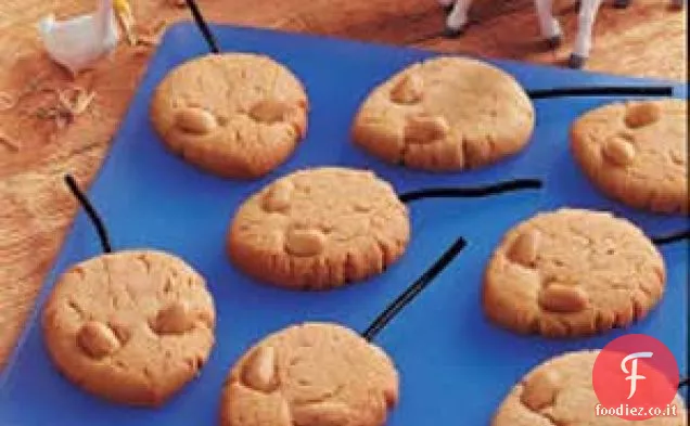 Biscotti del topo della fattoria