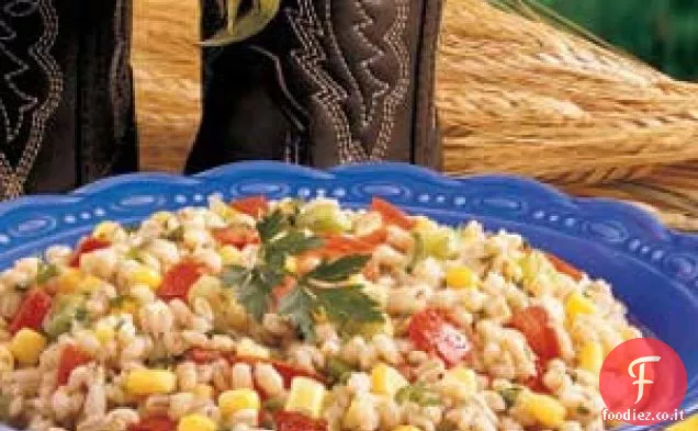 Insalata di orzo colorata