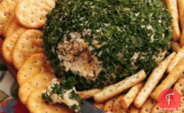 Pallina di formaggio e cipolla