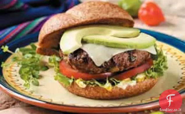 Hamburger del sud-ovest