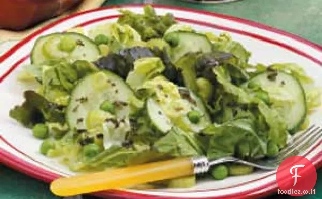 Insalata verde mista