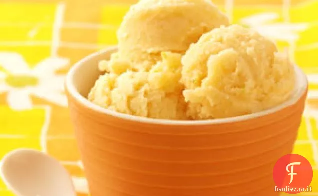 Sorbetto agli agrumi e al melone
