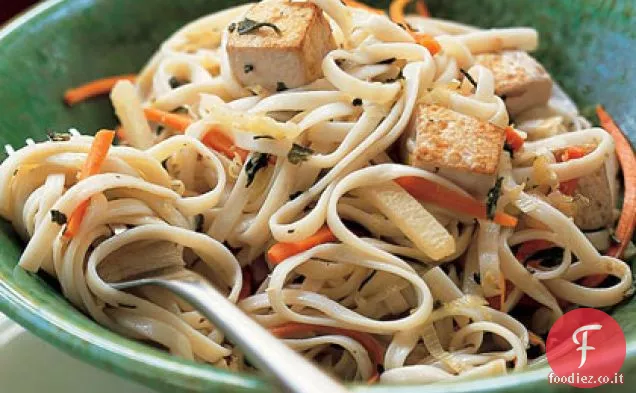 Tagliatelle Udon fritte in padella con salsa Teriyaki