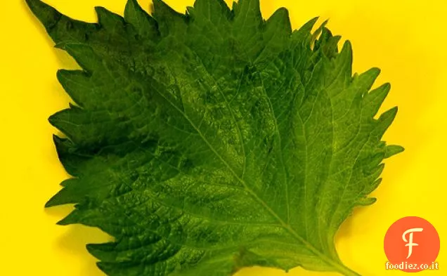 Sardine arrotolate con pasta di prugne