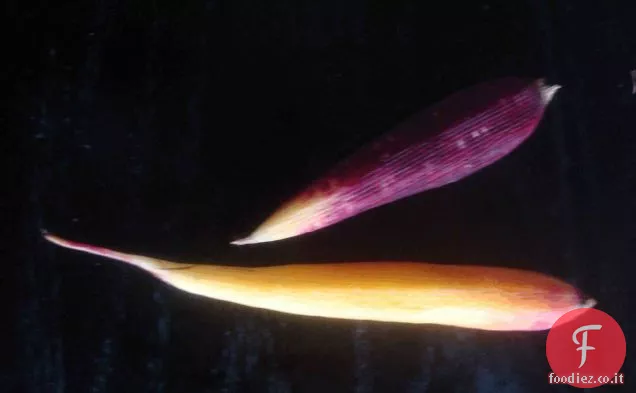 Pastinaca pazza Purea di carote con Frico