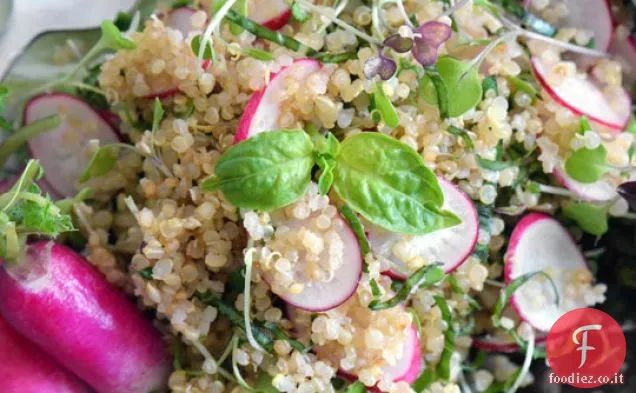 Insalata di quinoa con ravanelli e verdure primaverili