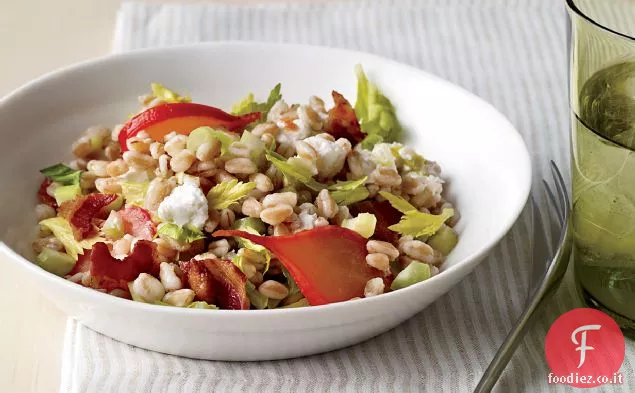 Insalata calda di Farro con ravanelli brasati