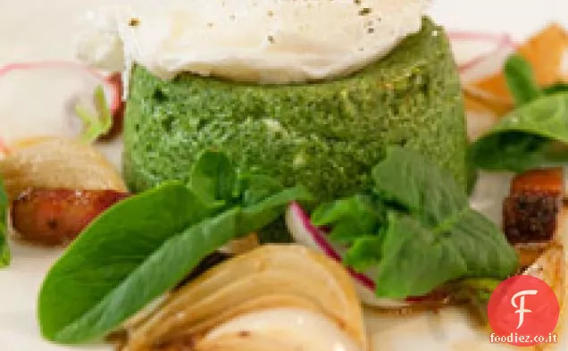 Sformatino di Spinaci con Pancetta, Ravanelli e Cipollotti