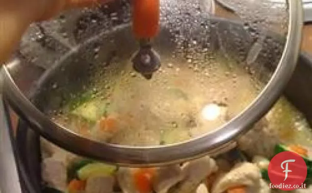 Papillon, zucchine, carote e pollo