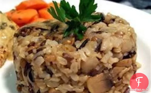 Casseruola di riso selvatico II