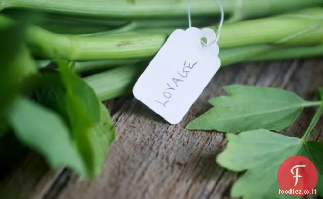 Zuppa di levistico per la primavera