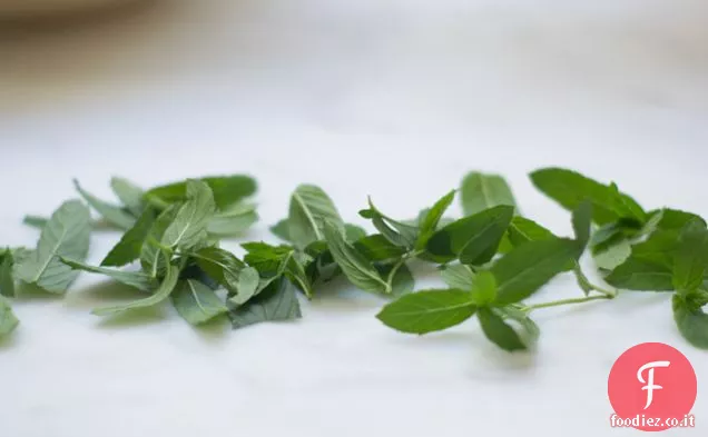 Ricetta di yogurt congelato con chip di menta fresca