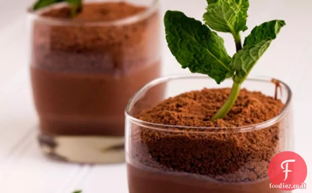 Menta in vaso-Budini al cioccolato