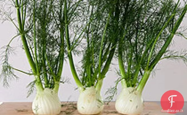 Gratin di Finocchio