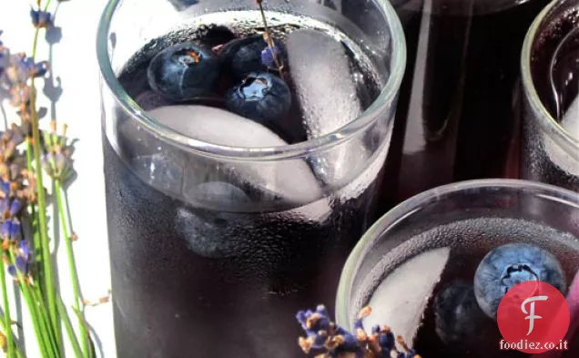 Mirtillo Lavanda Vodka Spritzer