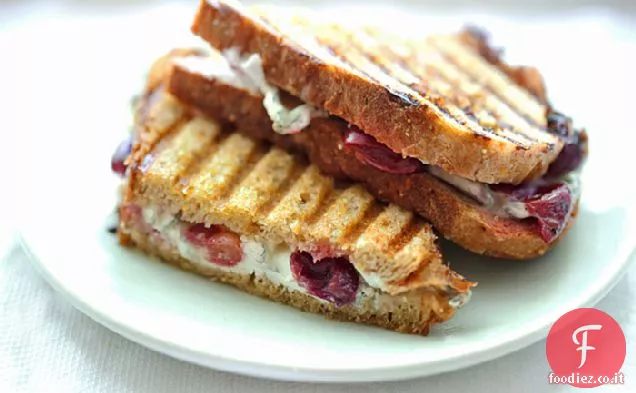 Humboldt Nebbia Formaggio di capra & Uva arrosto Panini