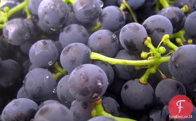 Schiacciata di Mario Batali Con Uva Concord E Semi di Finocchio