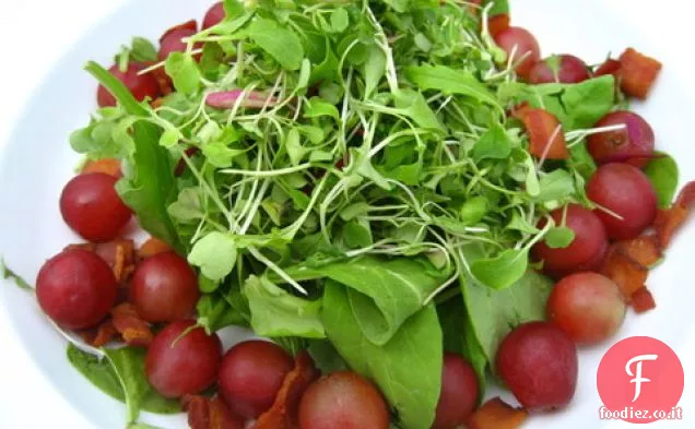 Carne Lite: Uva rossa, pancetta, e insalata di pistacchio con scalogno S