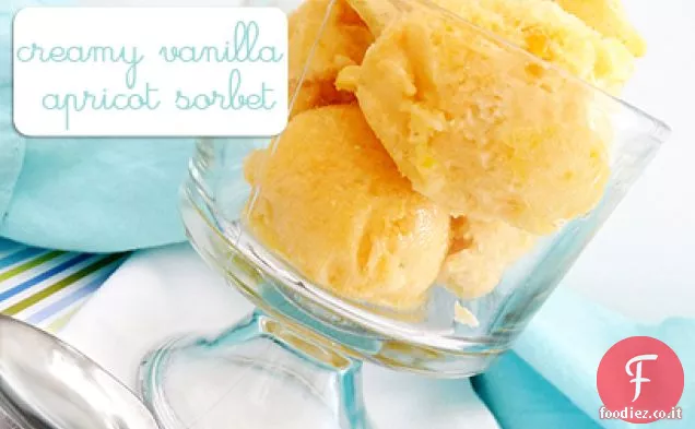 Sorbetto cremoso all'Albicocca alla vaniglia con corteccia di mandorla al Cioccolato bianco