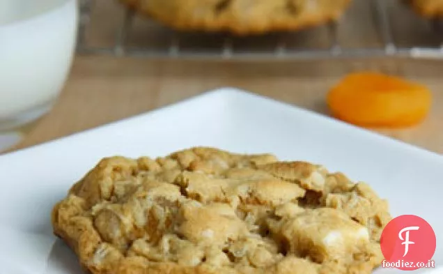 Biscotti di farina d'avena al cioccolato bianco e albicocca