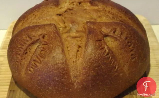 Cottura del pane: Pane di noci albicocca