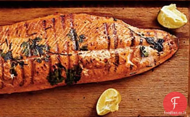 Salmone selvatico alla griglia con salsa di cetriolo-avocado