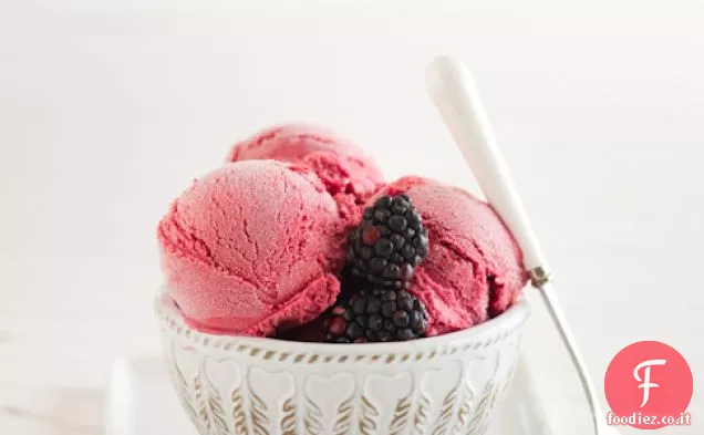 Freaking Buona fatta in casa Blackberry Ice Cream & Stehly Organic Farms Storia