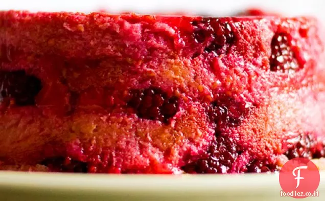 Budino di frutti di bosco