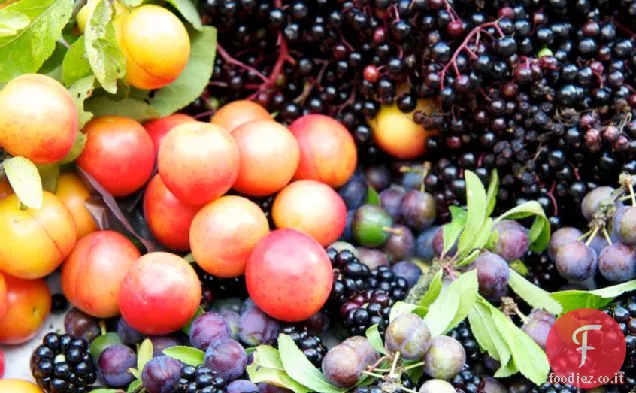 Pastelli di frutta di siepe