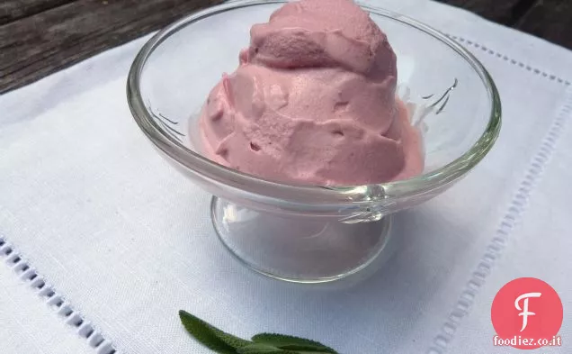 Salvia Infuso Prugna-mora-miele Gelato