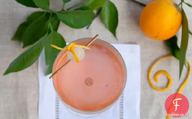 Il Cocktail Bijouxs