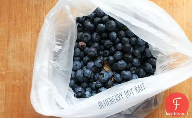 Blueberry Ragazzo Esca
