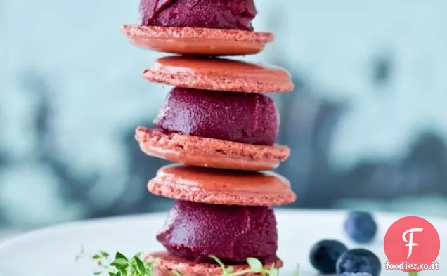 Sorbetto di mirtilli Macarons