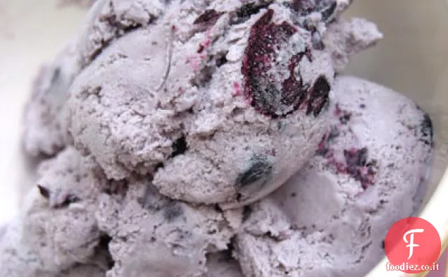 Janine Mirtillo Basilico Gelato migliore leccare! 2008 Gelato