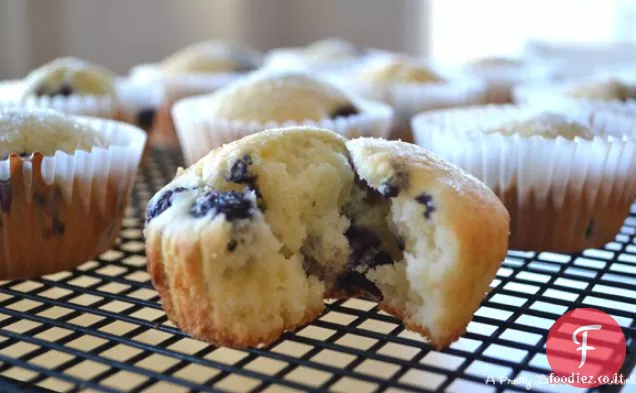Muffin al latticello ai mirtilli