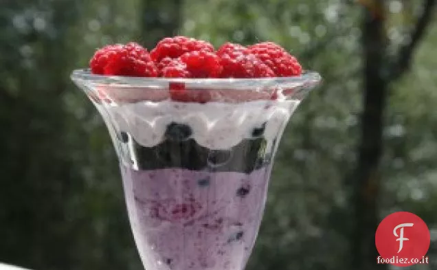 Semifreddi al lampone e mirtillo con Yogurt greco