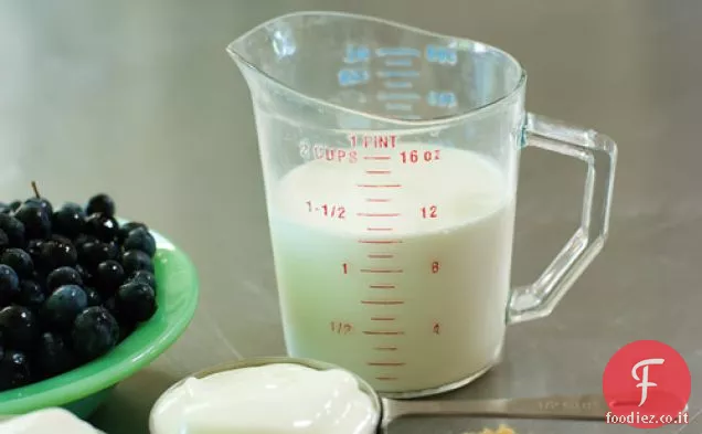 Crema di yogurt e frutti di bosco