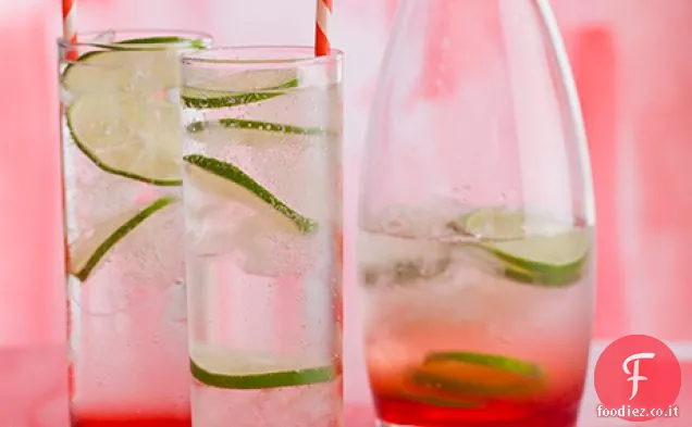 Gin alla ciliegia dolce in Tonic