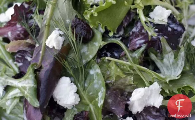 Giovane campo verde & insalata di erbe con ciliegie secche, formaggio di capra