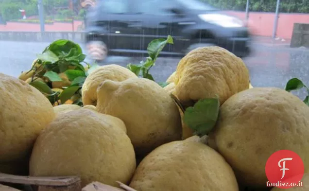 Insalata di Cedro