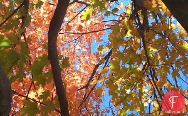 Insalata di raccolta autunnale