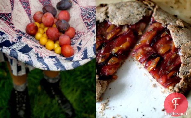 Prugna Yummy Galette