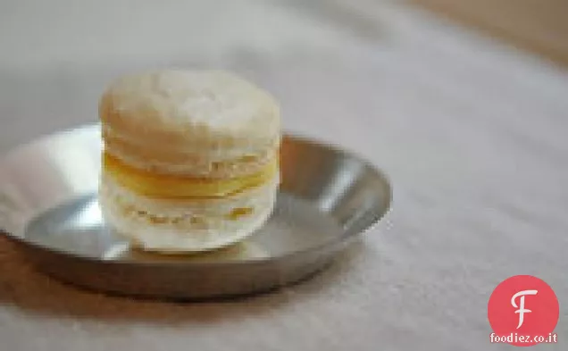 Torta di mele al mirtillo