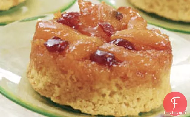 Torte capovolte di albicocche secche e mirtilli rossi