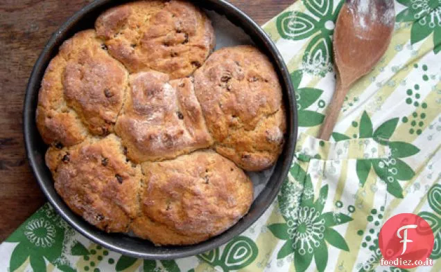 Bisconti di latticello e ribes
