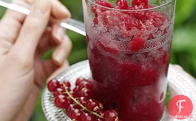 Granita di Ribes Rosso e Vino dolce