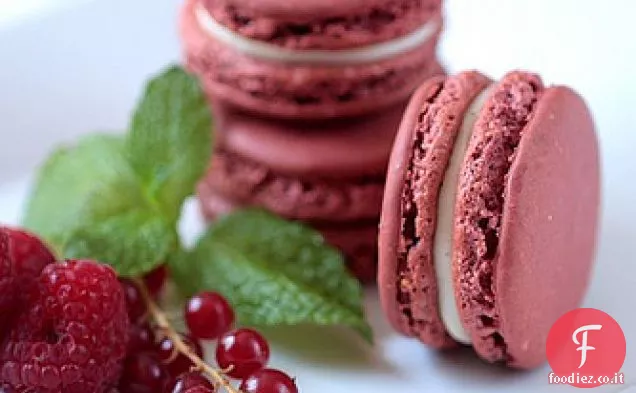 Macarons a bacca rossa