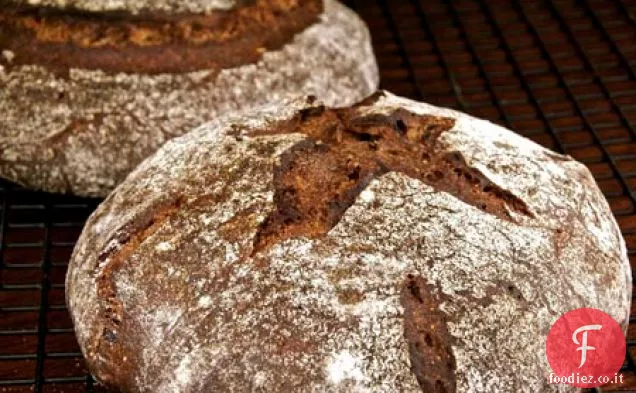 Pane di fichi e finocchi con lievito madre di segale